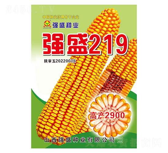 ʢ219-׷N-ʢNI