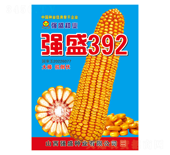 ʢ392-׷N-ʢNI