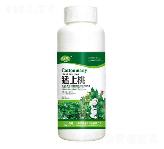 ң500g--sҫrI