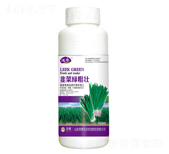 韭菜綠粗壯（500g）-進萃-榮耀農業