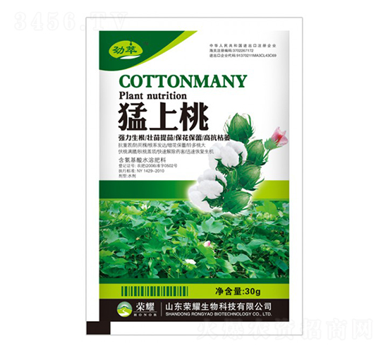 猛上桃（袋）-勁萃-榮耀農業
