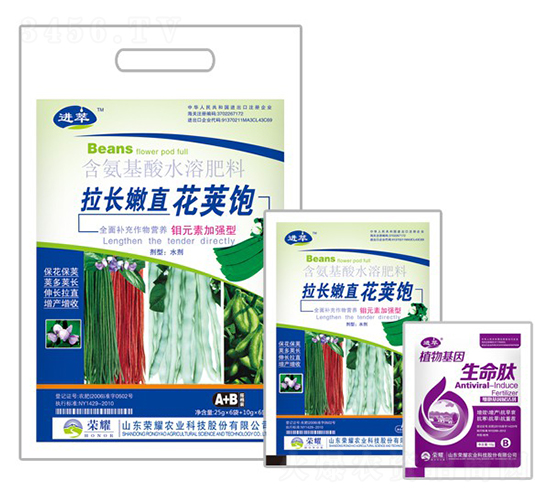拉長嫩直花莢飽-進萃-榮耀農業