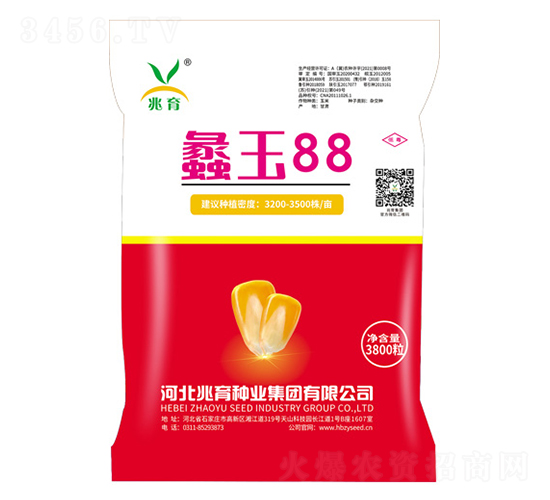 蠡玉88玉米種-兆育種業