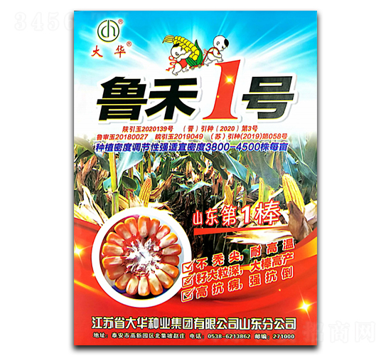 魯禾1號-玉米種子-陜墾大華