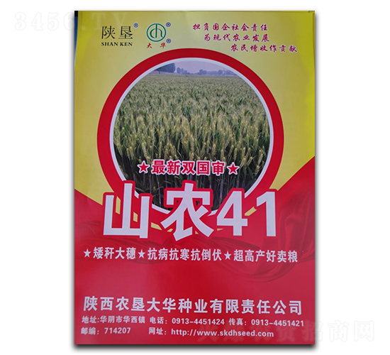 山農41-小麥種子-陜墾大華