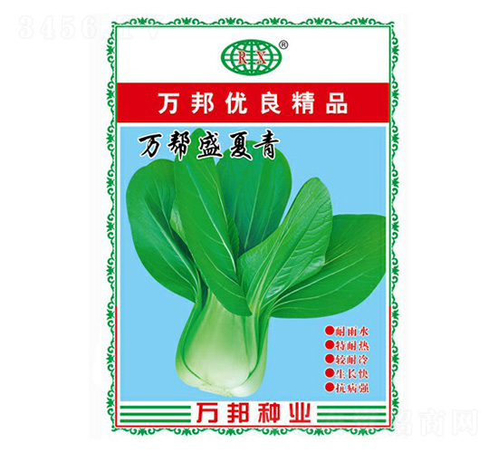 萬幫盛夏青青梗菜-萬邦種業