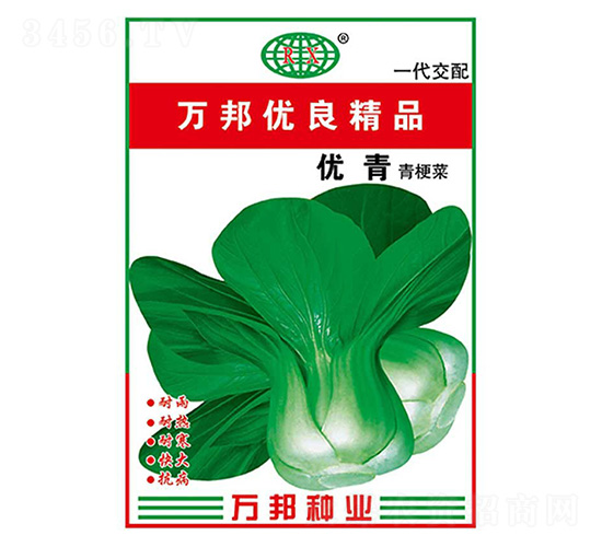 青梗菜種子-優青-萬邦種業