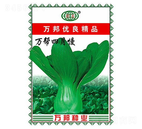 萬幫四月慢青梗菜種子-萬邦種業