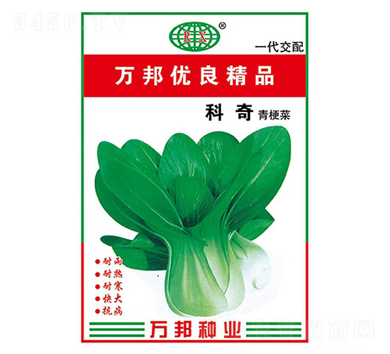 科奇青梗菜種子-萬邦種業