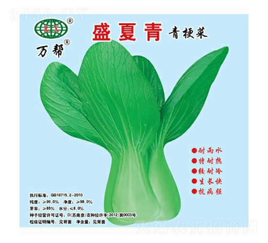 盛夏青青梗菜種子-萬邦種業