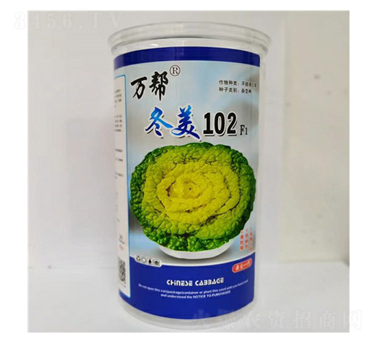 冬美102(雜交一代)烏塌菜種子-萬邦種業