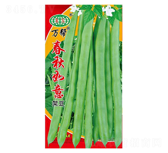 春秋如意四季豆種子-萬邦種業(yè)