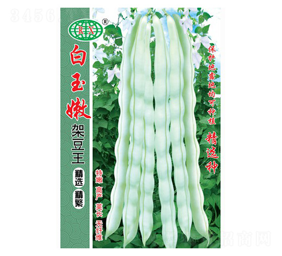 白玉嫩架豆王四季豆種子-萬邦種業