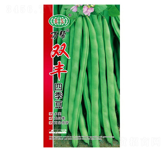 雙豐四季豆種子-萬邦種業