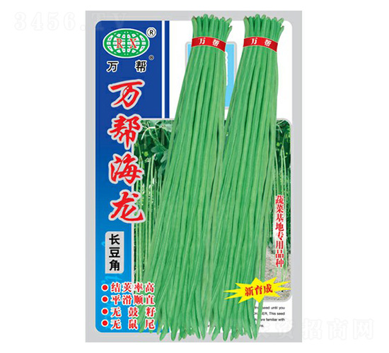 萬幫海龍豇豆種子-萬邦種業(yè)