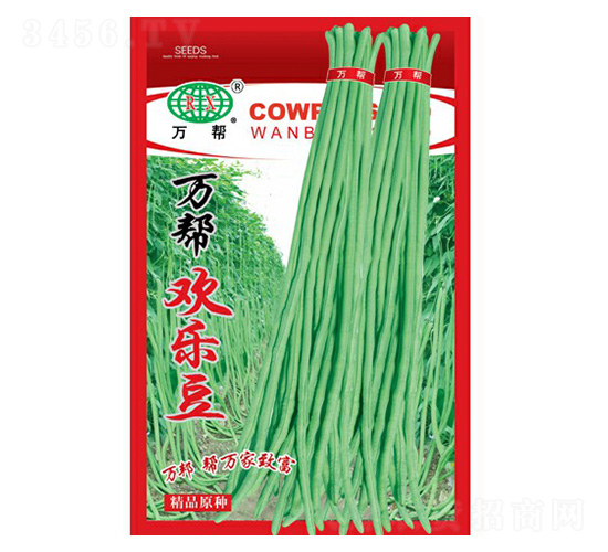 萬幫歡樂豆豇豆種子-萬邦種業