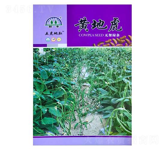 黃地虎無(wú)架綠條-豇豆種子-陵豐種苗