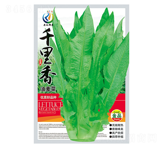 千里香-油麥菜種子-康地科技