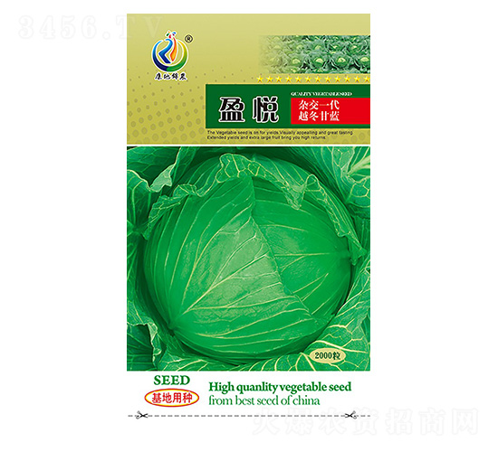 盈悅-甘藍種子-康地科技