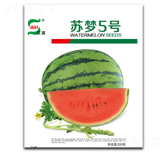 K5̖-ϷN-ANI