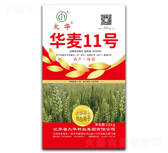 華麥11號-小麥種子-大華種業