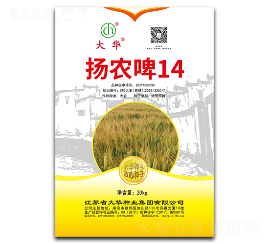 揚農啤14-小麥種子-大華種業