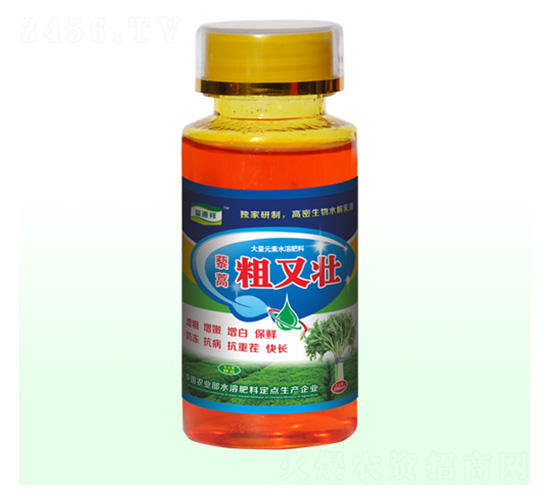 藜蒿粗又壯-富源祥肥業