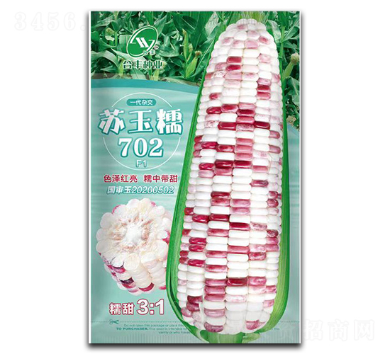 蘇玉糯702-玉米種子-合豐種業