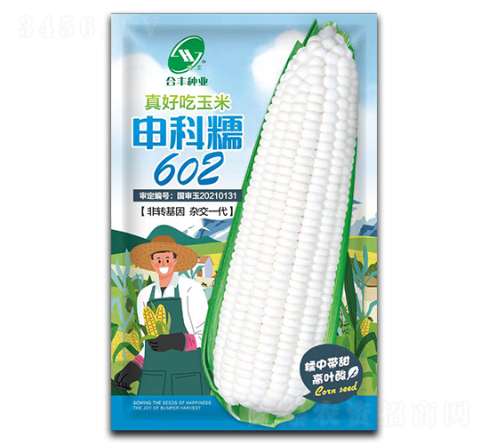 申科糯602-玉米種子-合豐種業