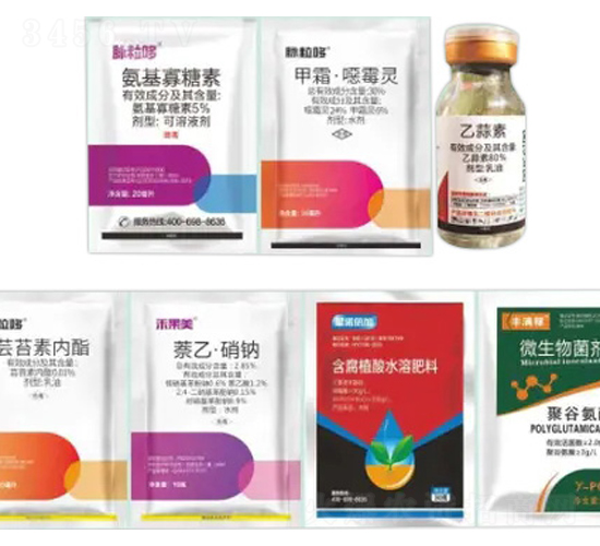 死苗爛根解決方案-脈粒哆-諾倍加農業