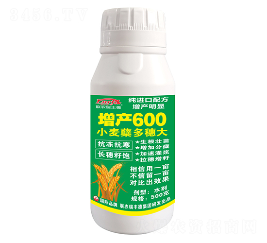 小麥蘗多穗大增產600-北美農大