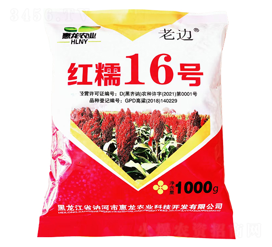 ƷN-tŴ16̖-rI