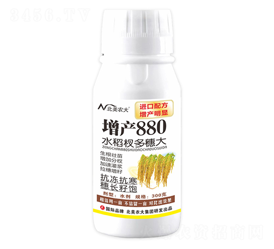 300g水稻杈多穗大-增產880-北美農大
