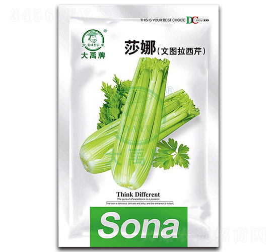 莎娜文圖拉西芹種子-大禹種業