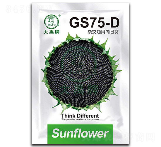 GS75-D-ͿN-NI(y)