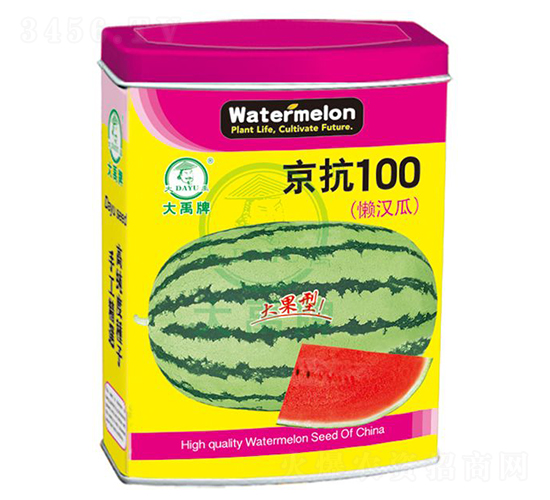 100ϷN-NI