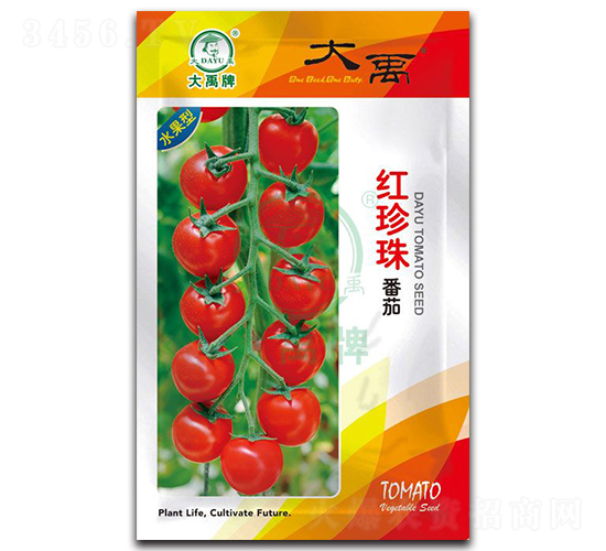紅珍珠番茄種子-大禹種業
