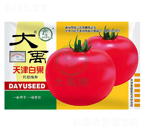 天津白果番茄種子-大禹種業(yè)