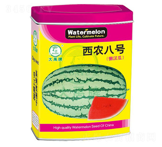 r8̖ϷN-NI