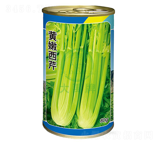 黃嫩西芹-芹菜種子-大禹種業