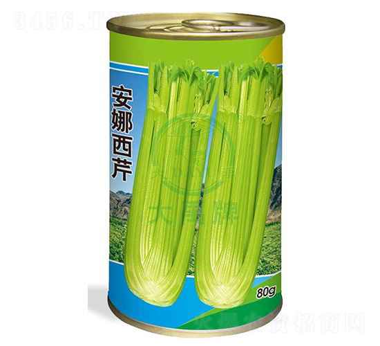 安娜西芹-芹菜種子-大禹種業