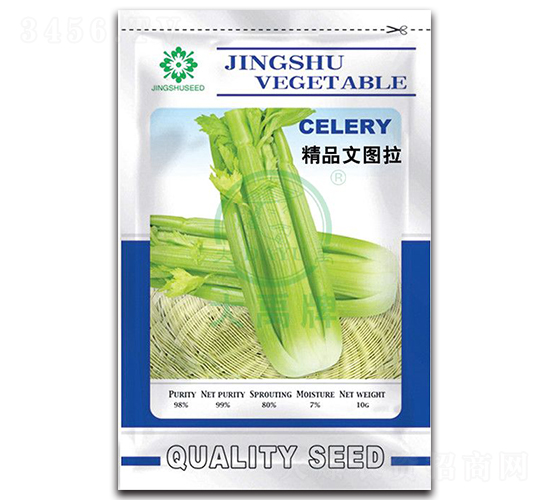 精品文圖拉-芹菜種子-大禹種業