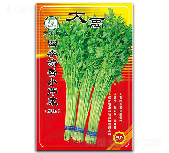 四季清香小芹菜-芹菜種子-大禹種業