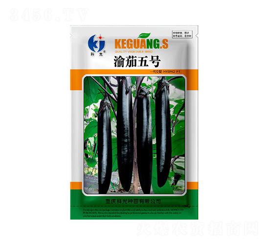 渝茄5號-科光種苗