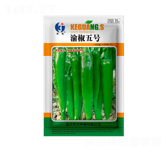 渝椒5號-科光種苗