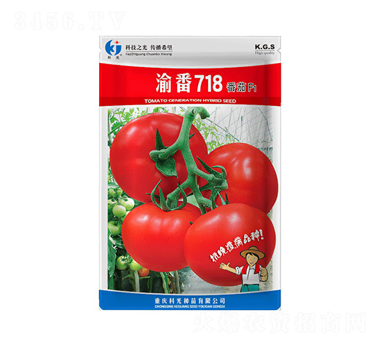 巬718-ƹN
