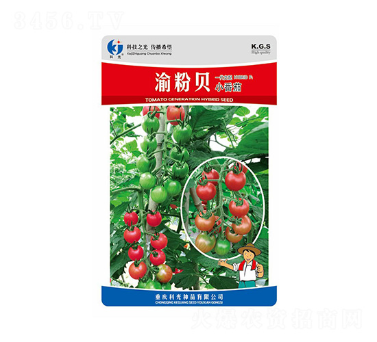 渝粉貝-科光種苗
