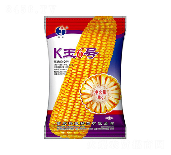 K6̖(ho)-ƹN
