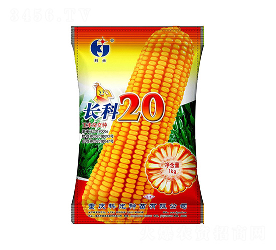 L20-ƹN