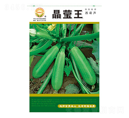 西葫蘆種子-晶瑩王-太樂種業